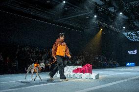 5th PETJOY FASHIION WEEK in Shanghai