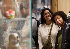 Confucius Institutes in Alsace Cultural Exchange Delegation