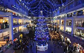 Christmas tree lighting