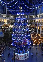 Christmas tree lighting