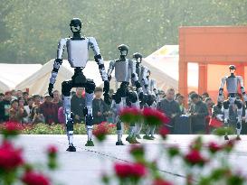 Robots Dancing at Chrysanthemum Exhibition in Yichan