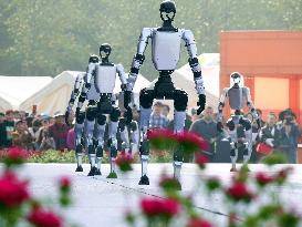 Robots Dancing at Chrysanthemum Exhibition in Yichan