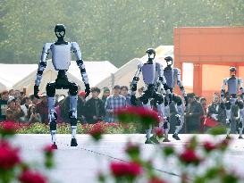 Robots Dancing at Chrysanthemum Exhibition in Yichan