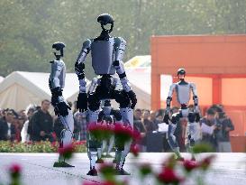 Robots Dancing at Chrysanthemum Exhibition in Yichan
