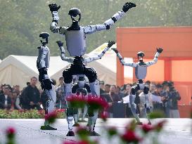 Robots Dancing at Chrysanthemum Exhibition in Yichan