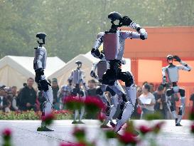 Robots Dancing at Chrysanthemum Exhibition in Yichan