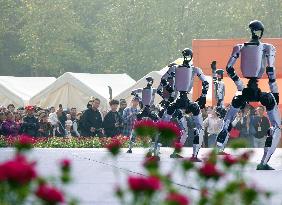Robots Dancing at Chrysanthemum Exhibition in Yichan