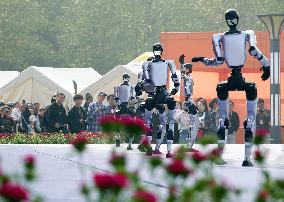 Robots Dancing at Chrysanthemum Exhibition in Yichan
