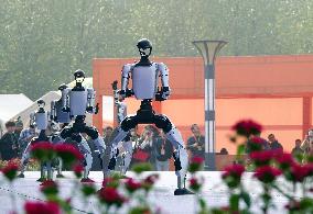 Robots Dancing at Chrysanthemum Exhibition in Yichan