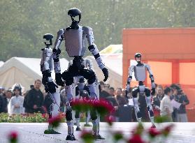 Robots Dancing at Chrysanthemum Exhibition in Yichan