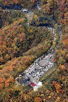 Autumn leaves in Nikko