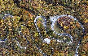 Autumn leaves in Nikko