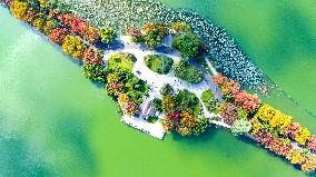 Autumn Scenery - China