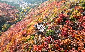 Autumn Scenery - China