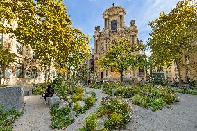 Garden In Tribute To The Victims Of The Paris Attacks - France