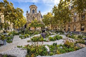 Garden In Tribute To The Victims Of The Paris Attacks - France