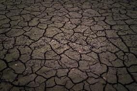 French Lake Dries Up Due To Winter Drought - Burgundy