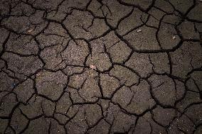 French Lake Dries Up Due To Winter Drought - Burgundy