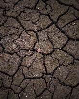French Lake Dries Up Due To Winter Drought - Burgundy