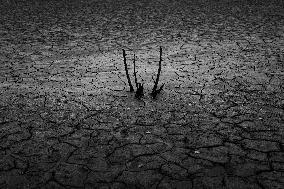 French Lake Dries Up Due To Winter Drought - Burgundy