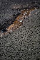 French Lake Dries Up Due To Winter Drought - Burgundy