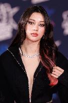 27th NRJ Music Awards - Cannes