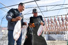 Drying Dried Fish in Qingdao