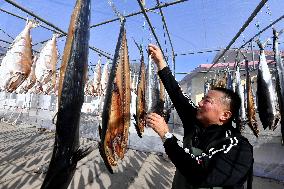 Drying Dried Fish in Qingdao