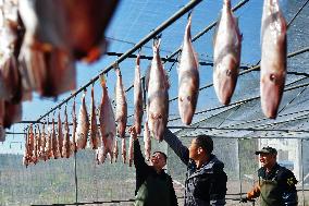 Drying Dried Fish in Qingdao