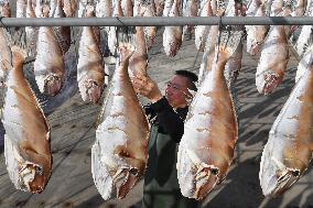 Drying Dried Fish in Qingdao