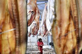 Drying Dried Fish in Qingdao