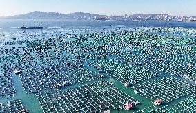 China Gross Marine Product