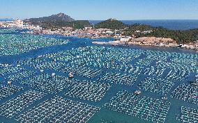 China Gross Marine Product