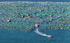 China Gross Marine Product