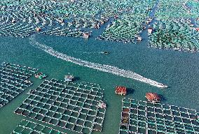 China Gross Marine Product