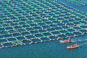 China Gross Marine Product