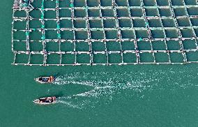 China Gross Marine Product