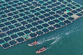 China Gross Marine Product