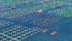 China Gross Marine Product