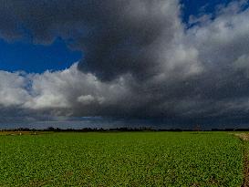 Illustration - Cloudy Weather in Normandy - France