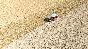 Grain Harvest - China