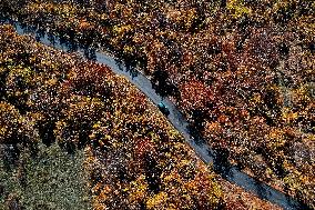 Autumn View - Skopje