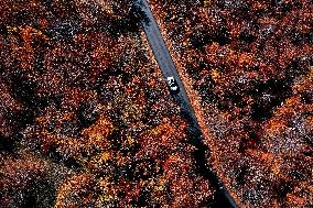 Autumn View - Skopje