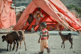 File - Displaced Children - Taiz