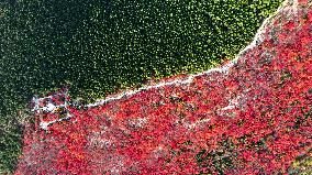 Autumn View In Jinan - China