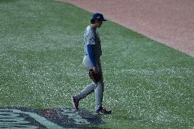 Baseball:Shohei Ohtani