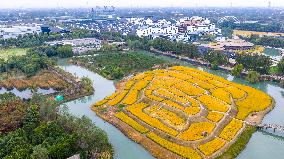 2025 World Internet Conference Wuzhen SUMMIT Preview