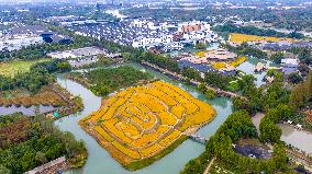 2025 World Internet Conference Wuzhen SUMMIT Preview