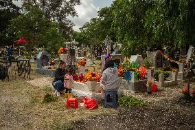 People Visit Cemeteries on the Day of the Dead - Mexico