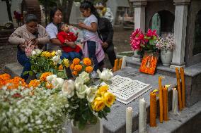 People Visit Cemeteries on the Day of the Dead - Mexico